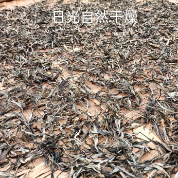 西双版纳明前绿茶勐海县勐阿镇高山生态绿茶