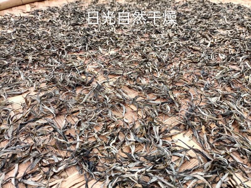 西双版纳明前绿茶勐海县勐阿镇高山生态绿茶
