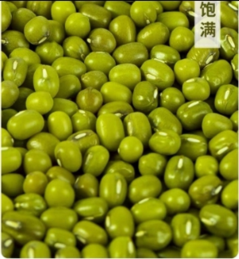 绿豆旱地原生态绿豆