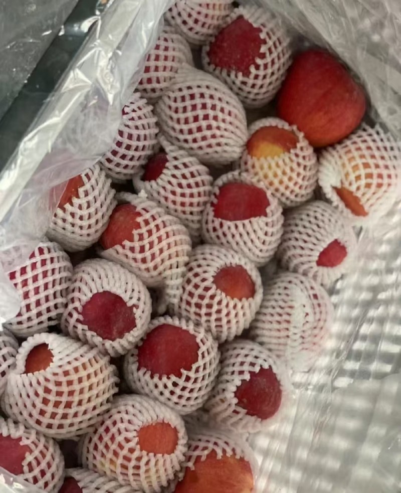 新货阿克苏樱桃苹果脆甜多汁，阿克苏产地直发一件起发包邮