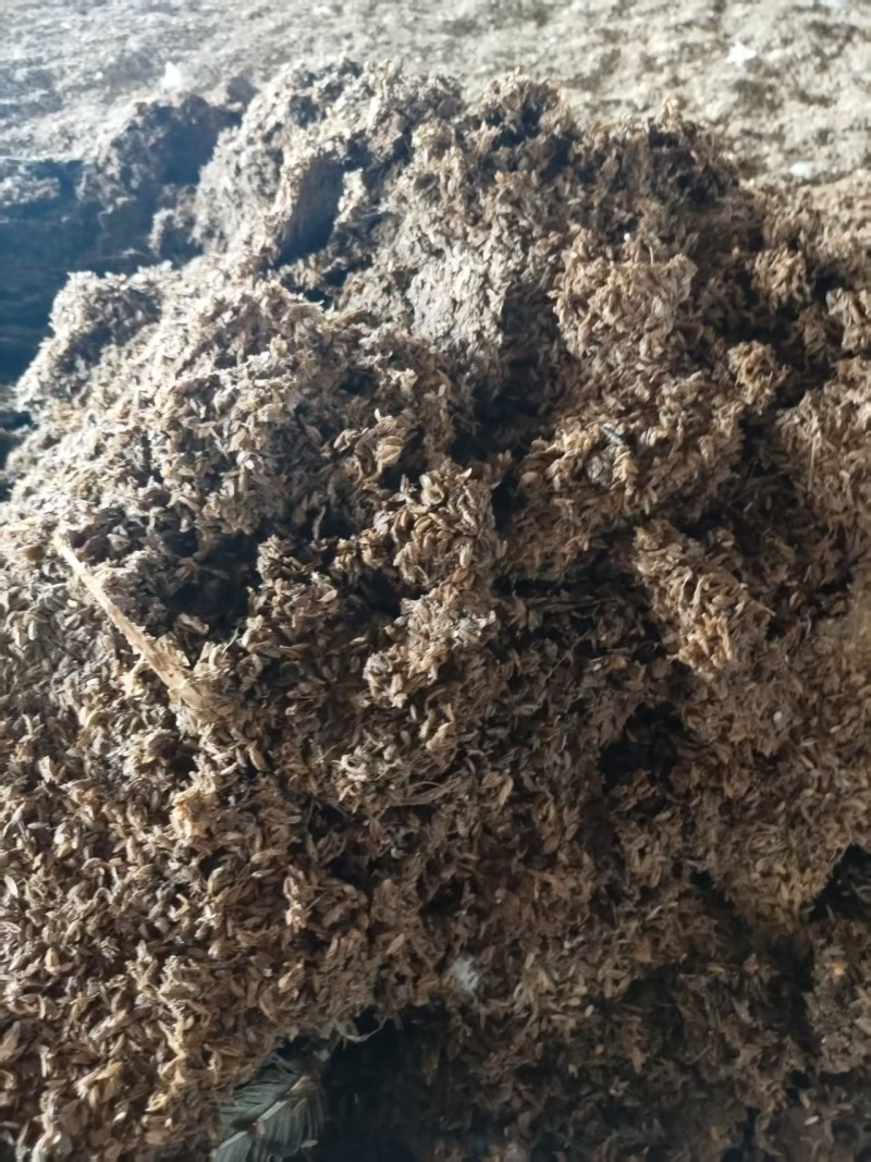 大量供应养殖鸭棚稻壳粪量大价优欢迎电话联系