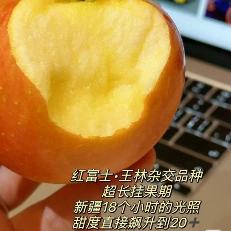 新货阿克苏樱桃苹果脆甜多汁，阿克苏产地直发一件起发包邮