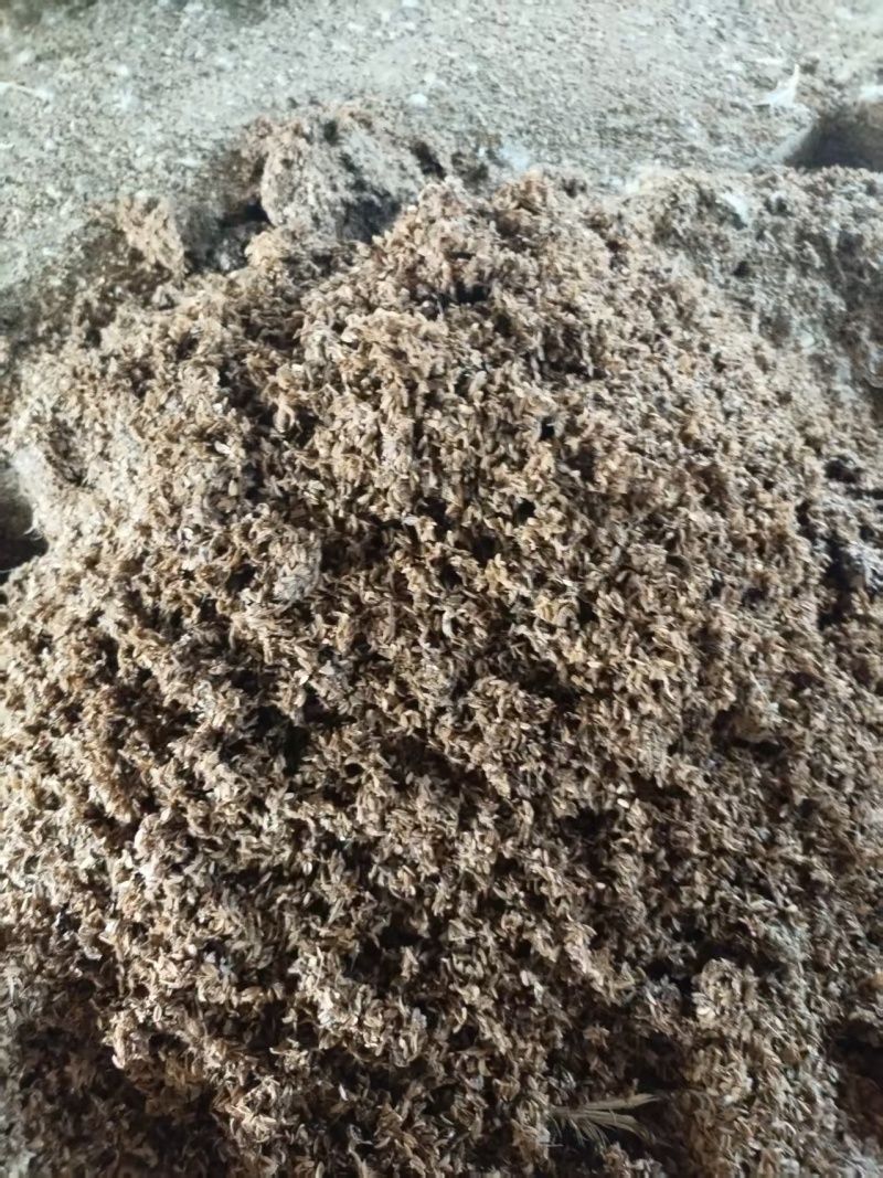 鸭粪鸭棚稻壳粪货源充足量大从优欢迎电话联系