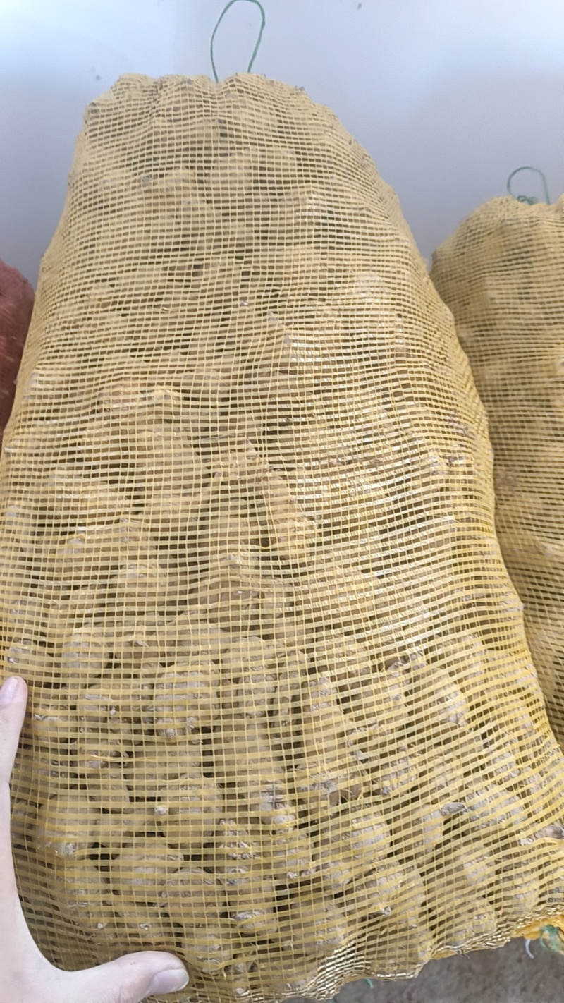 统货菊芋，服务各类客户，可以精选或者水洗随时有货欢迎咨询