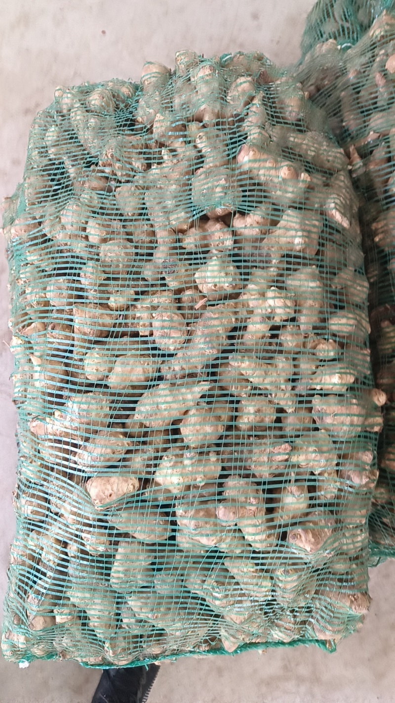 统货菊芋，服务各类客户，可以精选或者水洗随时有货欢迎咨询