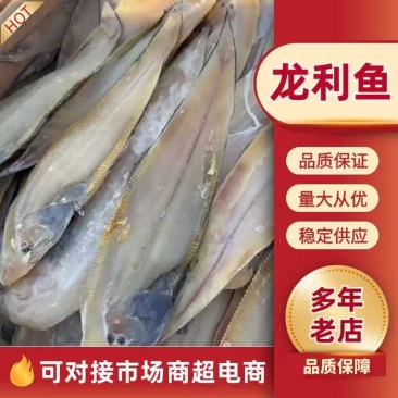 鳎木鱼、龙利鱼、一款腌制的鱼、产地直发休闲小零食代发