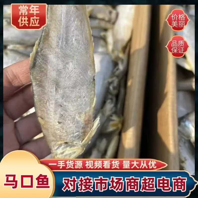 咸马口鱼、蒸、煎、炸、顿，口感美味长期供货支持代发