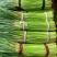 费县红帽蒜苔诚信代收产地直供大量现货全国对接各大