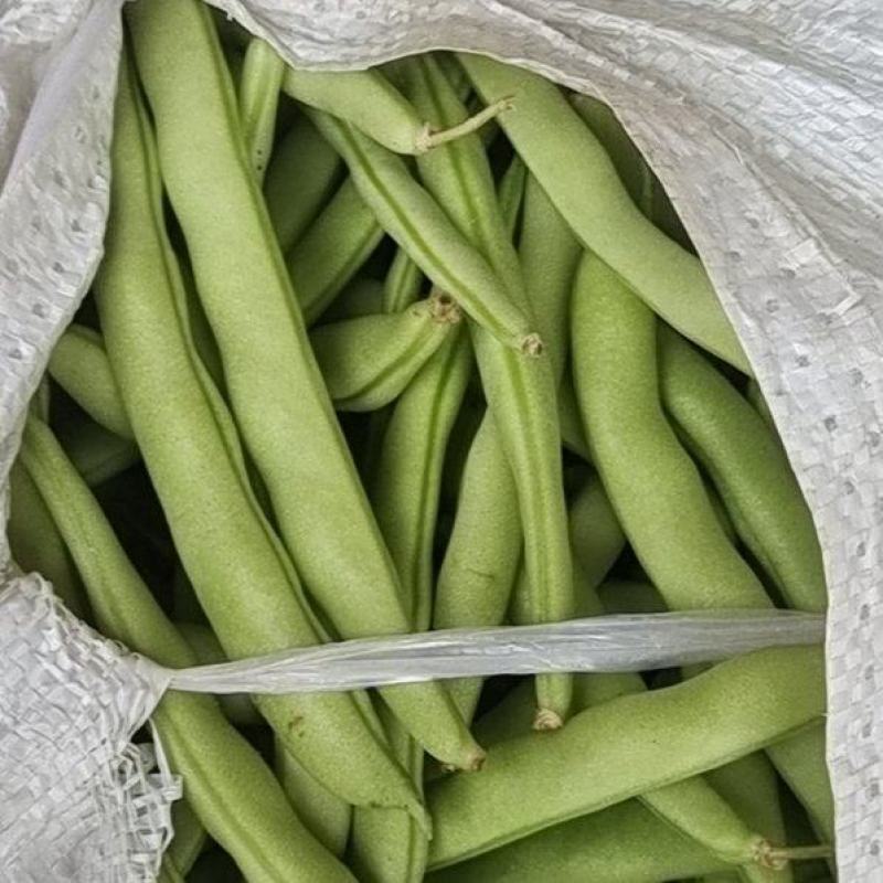 四季豆