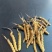 【实力供货】虫草货源充足品质保证欢迎新老客户来电咨询