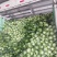 牛心甘蓝牛心包菜大量上市了欢迎各位新老客户老板前来选购