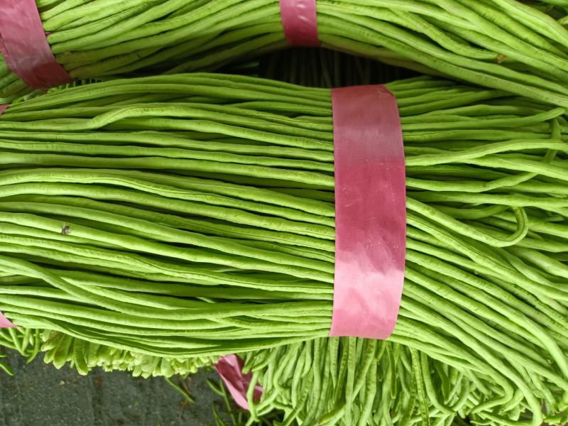 豇豆青条长豆角承接商超电商加工厂货源稳定一手货源