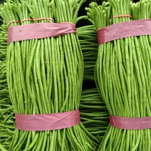 豇豆青条长豆角承接商超电商加工厂货源稳定一手货源