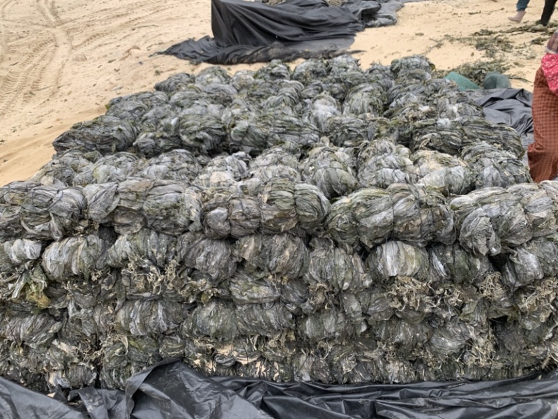 海带挂菜，没有碎碎渣渣精挑细选