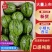 【小糖丸西瓜】山东潍坊品质保证欢迎新老客户来电咨询