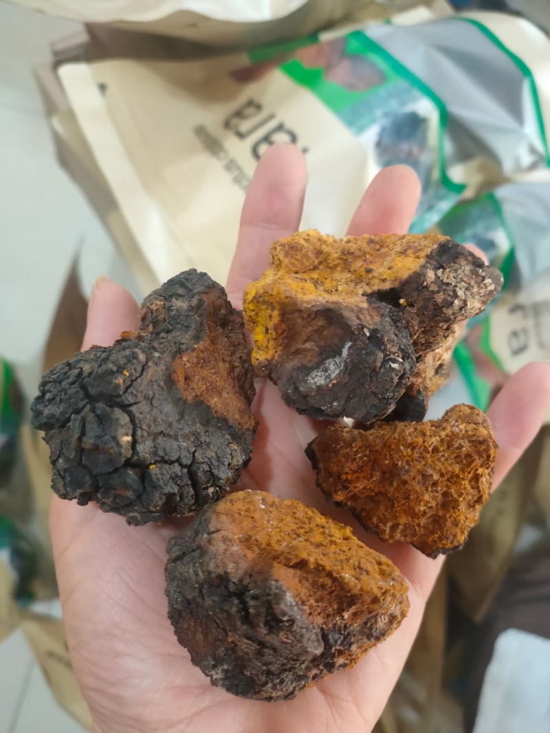 桦树茸，黄金颗粒，黑金颗粒，桦树粉，黑油颗粒原产地发货