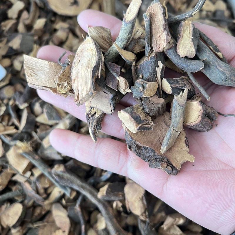野生铁包金根纯根中药材老鼠耳乌龙根黄鳝藤中药材