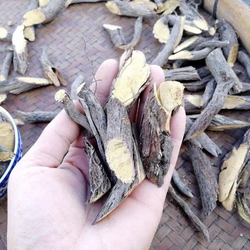 野生铁包金根纯根中药材老鼠耳乌龙根黄鳝藤中药材