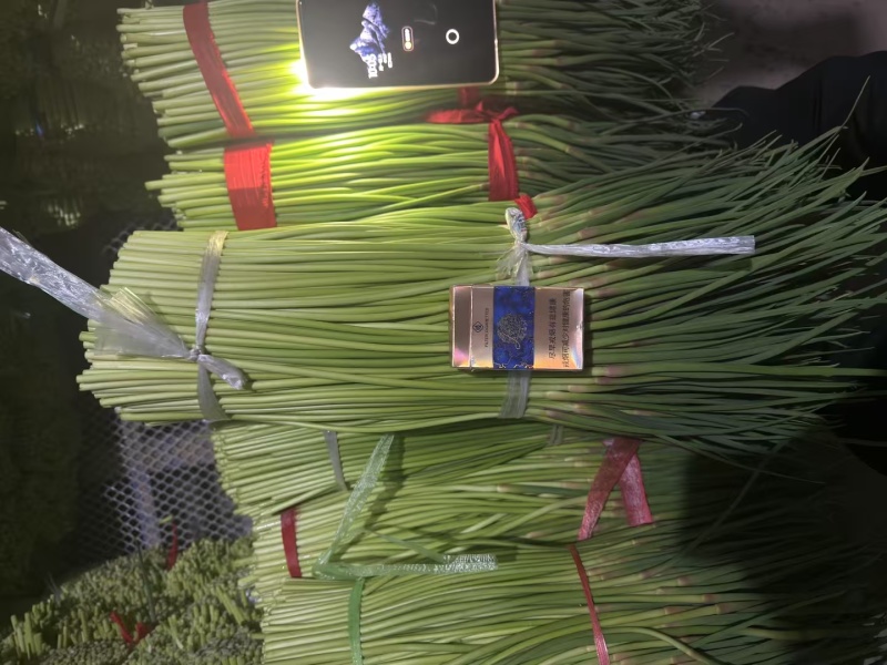 红帽蒜薹开封早熟蒜薹承接商超电商代收代发代加工代存