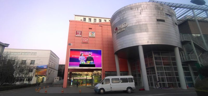 常年有60-80天脱温七彩山鸡小母鸡，自己家养殖场