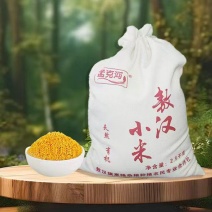 敖汉小米