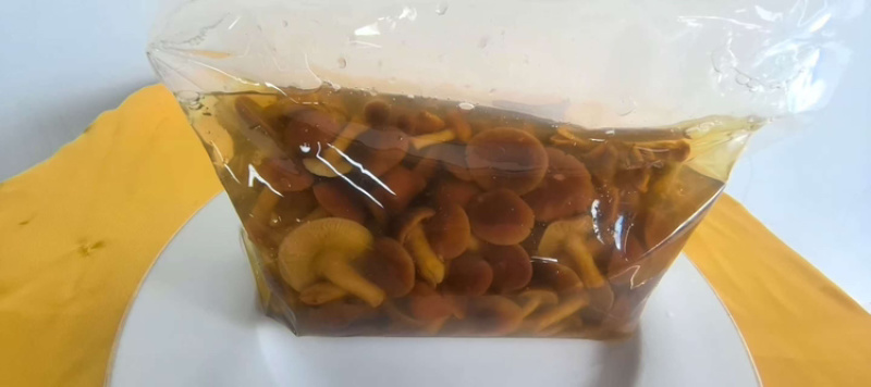 腌制滑子菇，厂家直发，自产自销，欢迎各位老板咨询采购