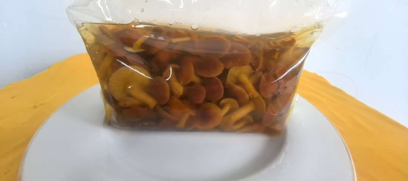 腌制滑子菇，厂家直发，自产自销，欢迎各位老板咨询采购