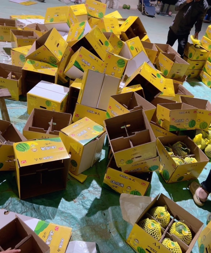 特小凤西瓜宿迁特小凤西瓜大量供应商超品质代发全国