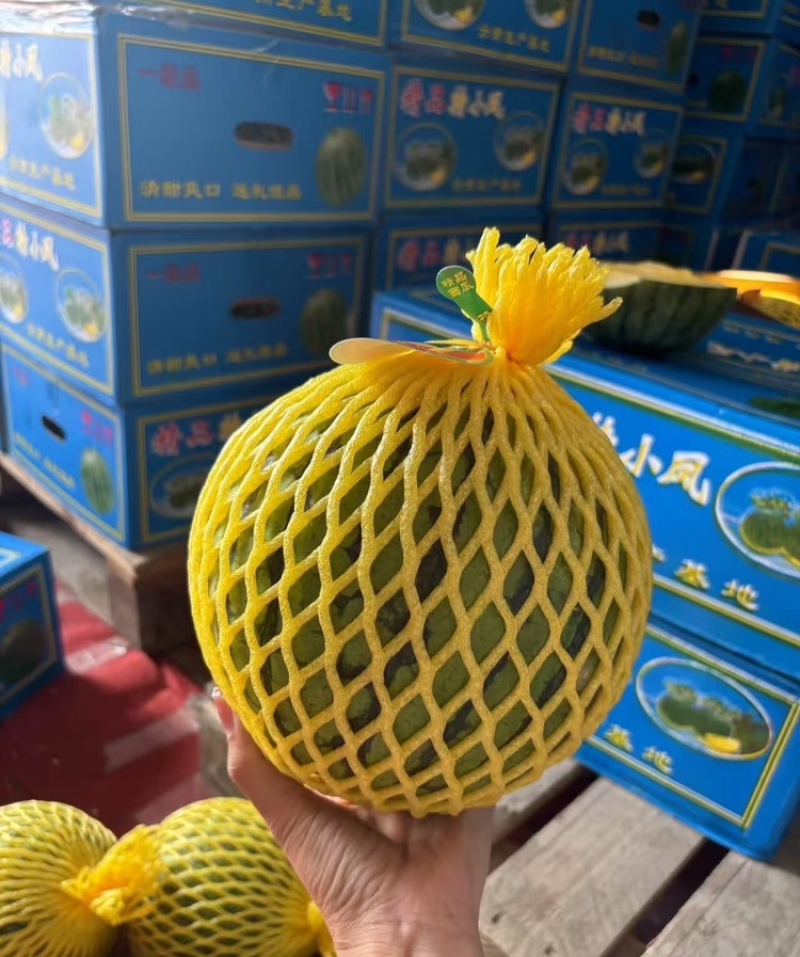 特小凤西瓜宿迁特小凤西瓜大量供应商超品质代发全国