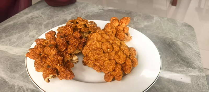 干滑子菇，厂家直发，大量有货，欢迎各位老板咨询采购