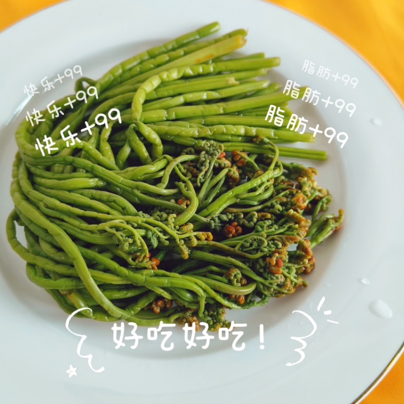 腌制蕨菜，自产自销，可视频看货，欢迎各位前来选购