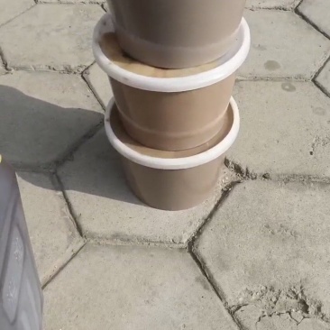 金香玉石磨香油