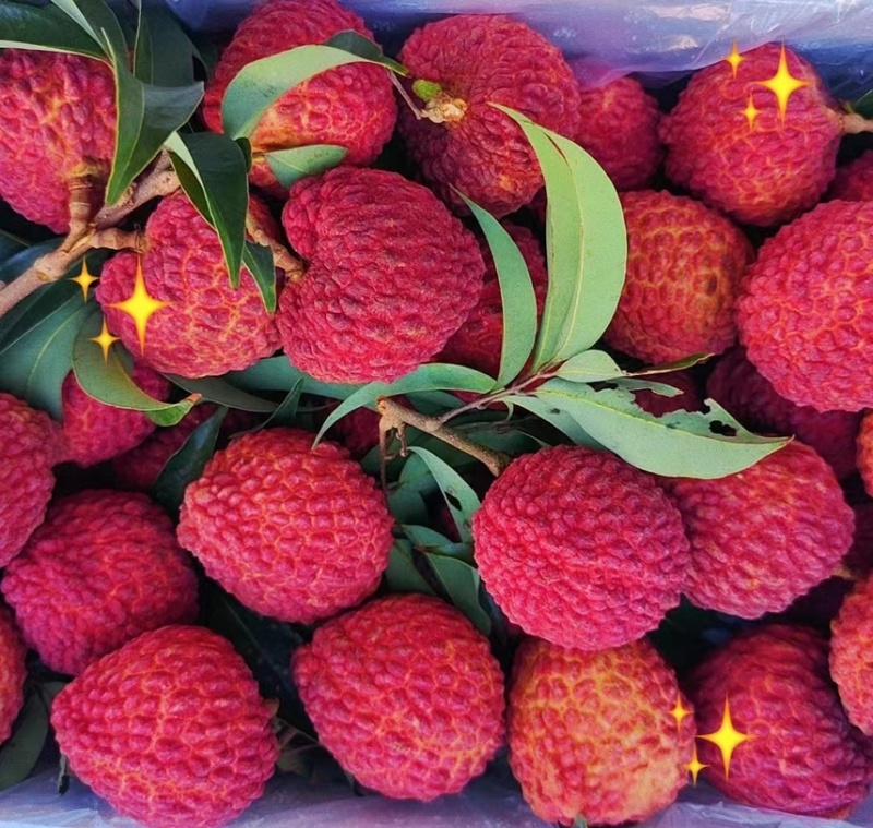 荔枝王代办，一千斤起走航空或冷链，一件代发，品控可靠