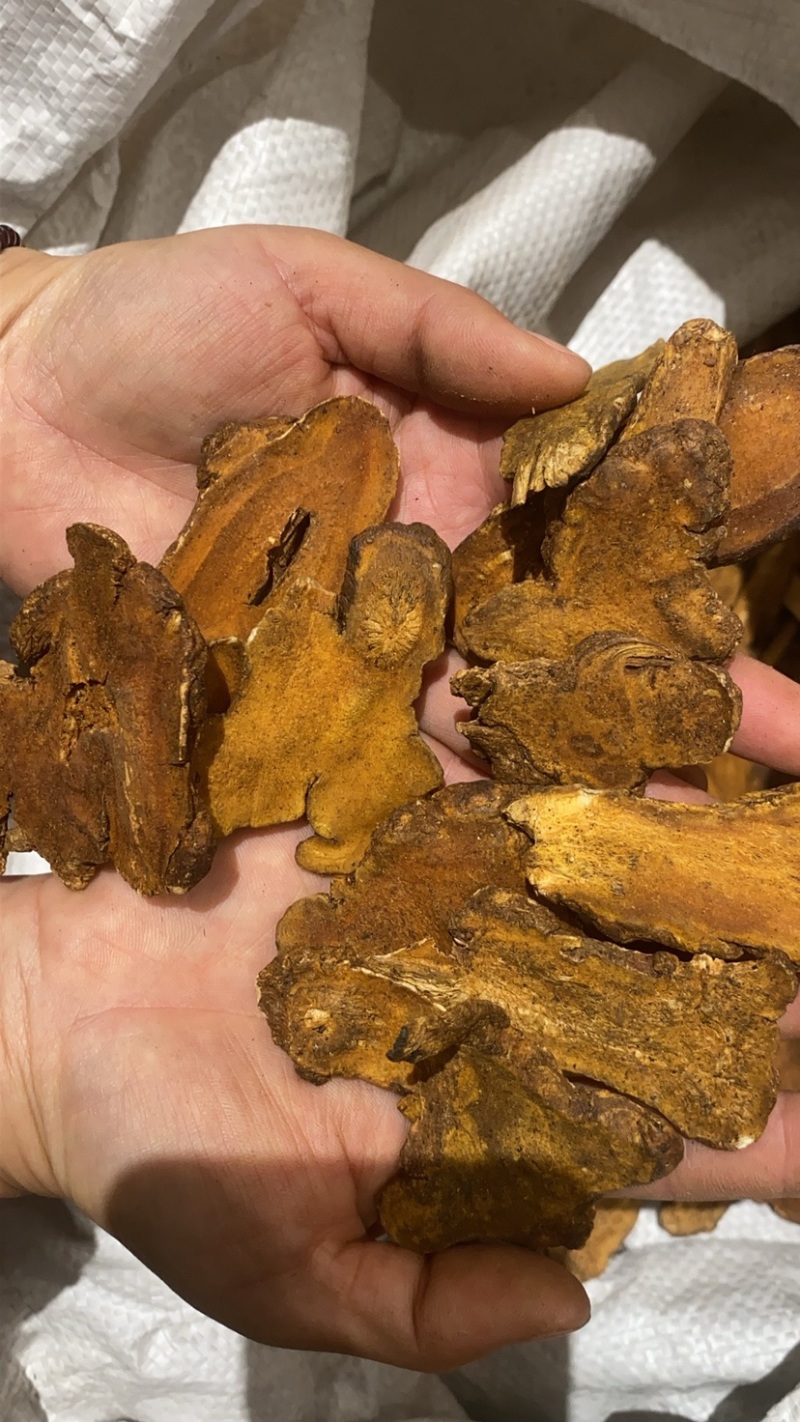 炒白术一年货直接食用价格便宜/线下10年老店/全国发货