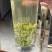 开售《信阳毛尖2025开园头采》质量可靠新茶现炒