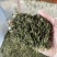 开售《信阳毛尖2025开园头采》质量可靠新茶现炒
