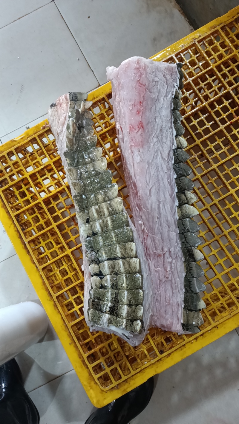 新鲜现杀现剥半皮尾巴肉！现货