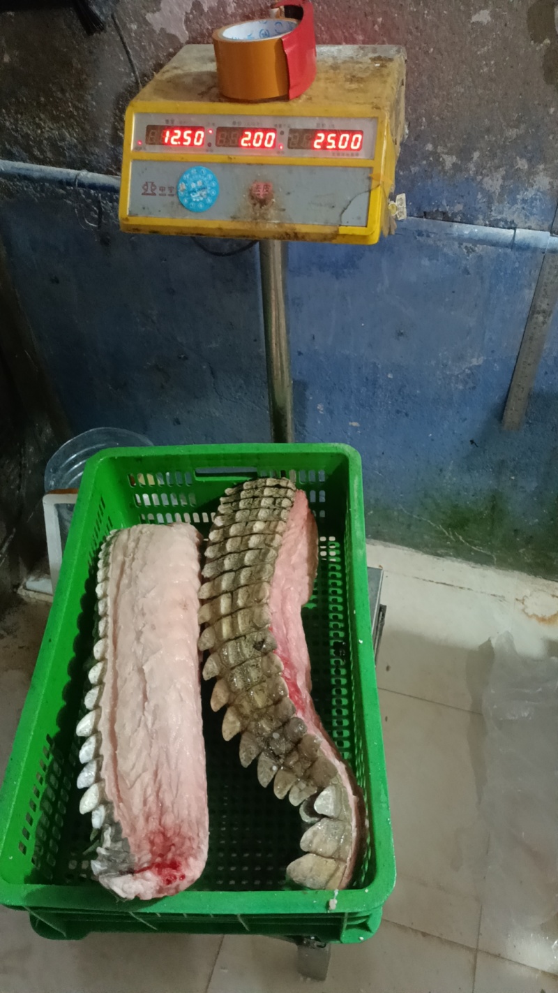 新鲜现杀现剥半皮尾巴肉！现货