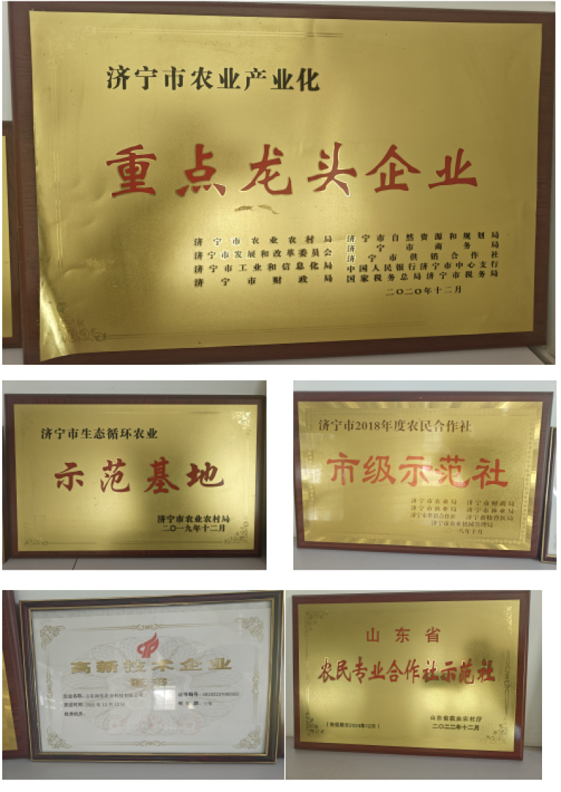 微生物菌剂瓜果蔬菜花卉通用调节土壤墒情提高化肥利用率