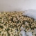 小白瓜，白沙蜜，甜瓜产地直供保质保量直供各个批发市场商超