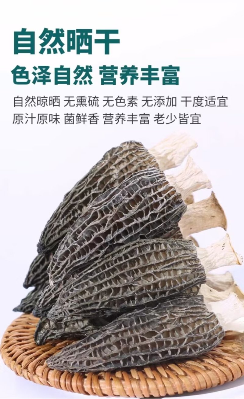 有机羊肚菌基地直销