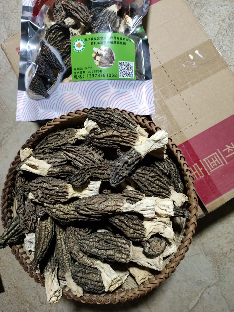 有机羊肚菌基地直销