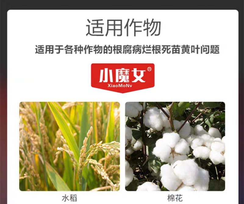 根腐医生青枯病立枯病杀菌剂烂根死苗土壤消毒改良剂抗重茬剂