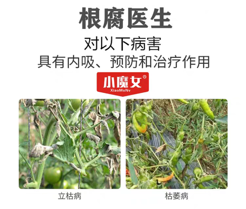 根腐医生青枯病立枯病杀菌剂烂根死苗土壤消毒改良剂抗重茬剂