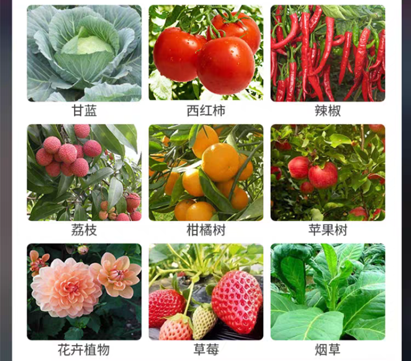 根腐医生青枯病立枯病杀菌剂烂根死苗土壤消毒改良剂抗重茬剂