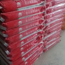 4%育肥牛预混饲料河北厂家直发保质保量供货