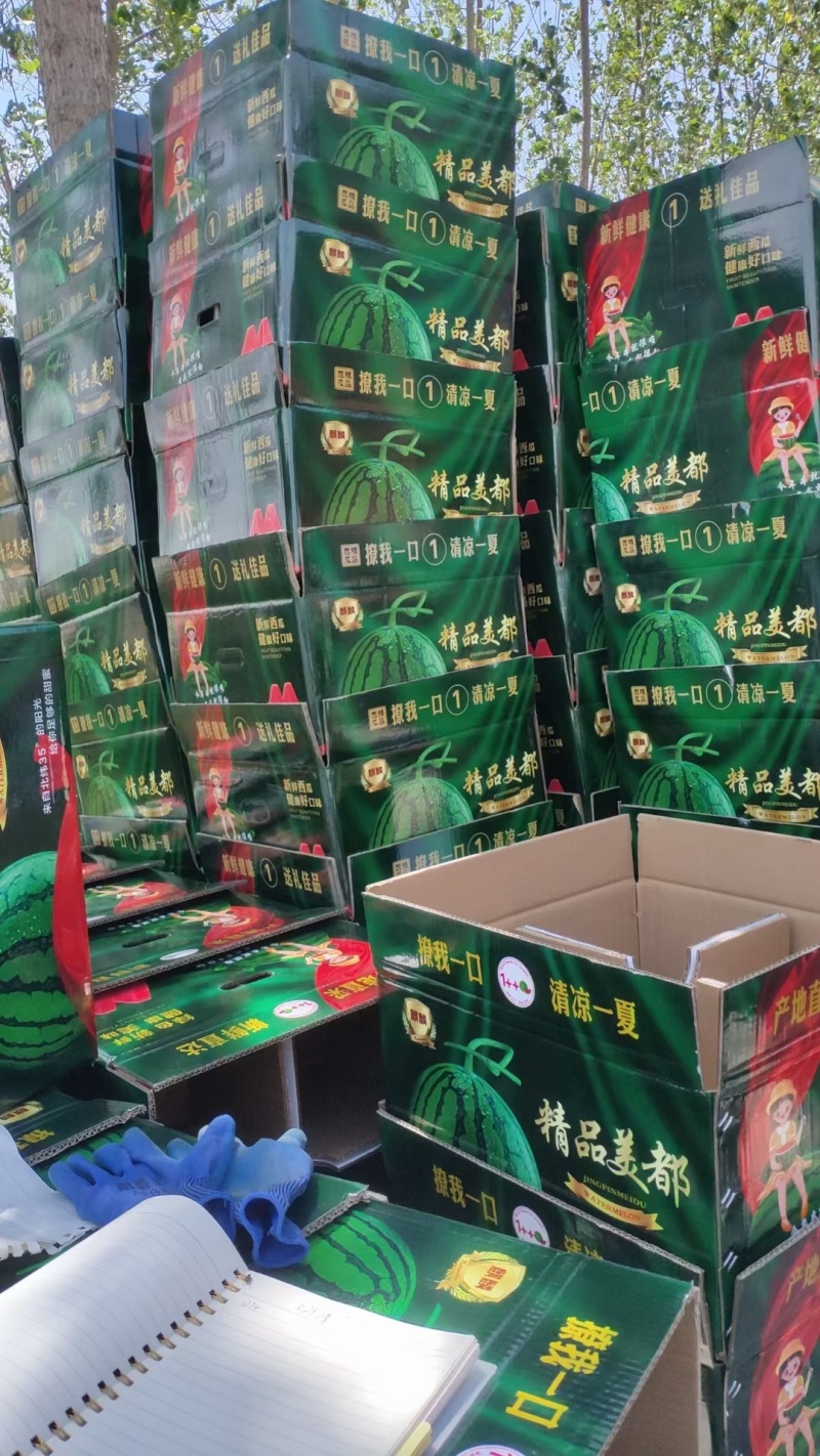 夏邑美都西瓜大量上市质量三包给我一分信任还你十分质量