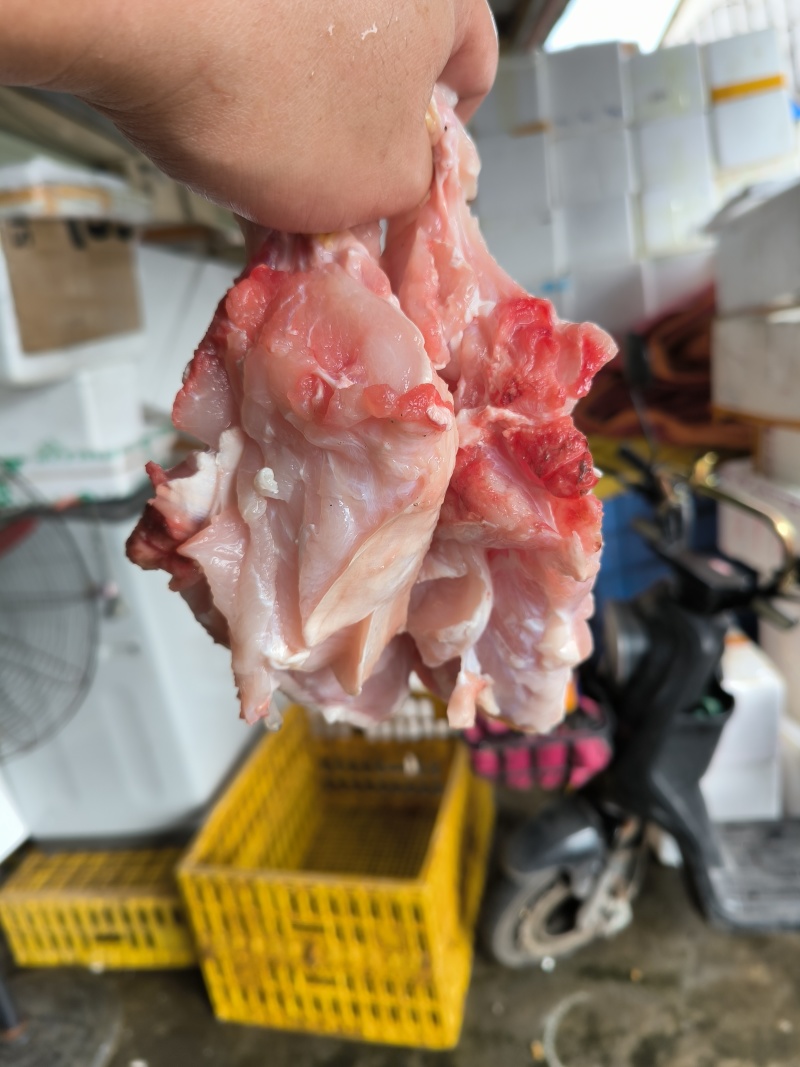 去皮鳄鱼肉
