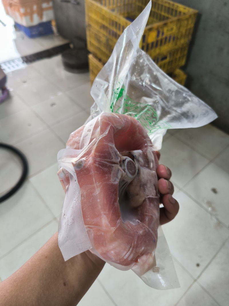 去皮鳄鱼肉