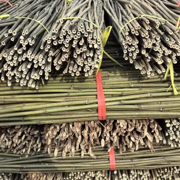 菜架竹豆角架，圣女果，辣椒，茄子，爬苗架杆